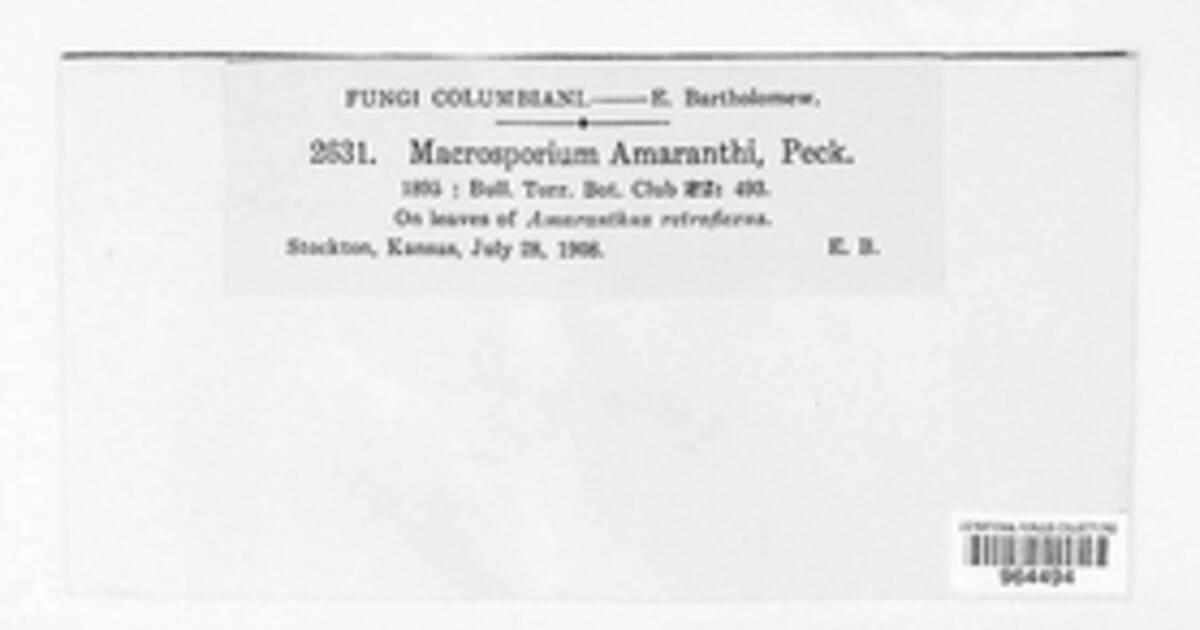 Alternaria amaranthi image